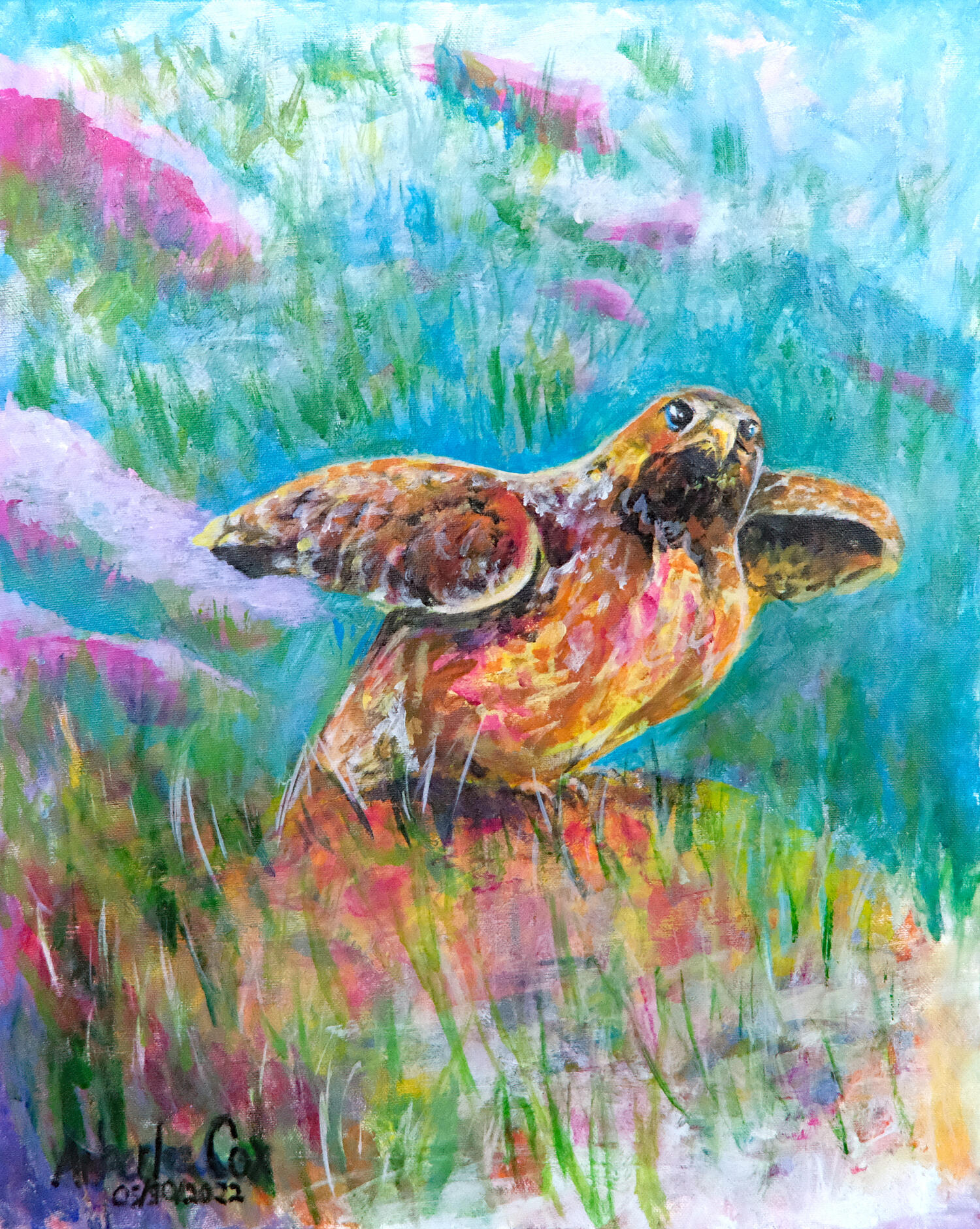 To Fly red tailed falcon in surreal grassy mound.