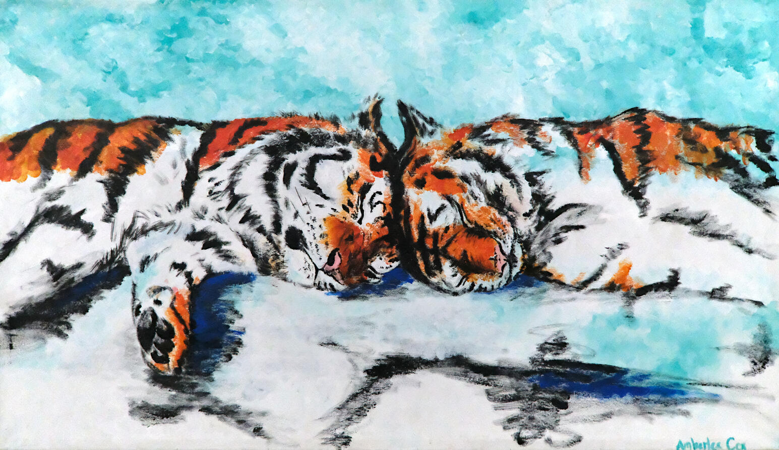 two tigers head to head laying down surrounded by a white and light blue area.